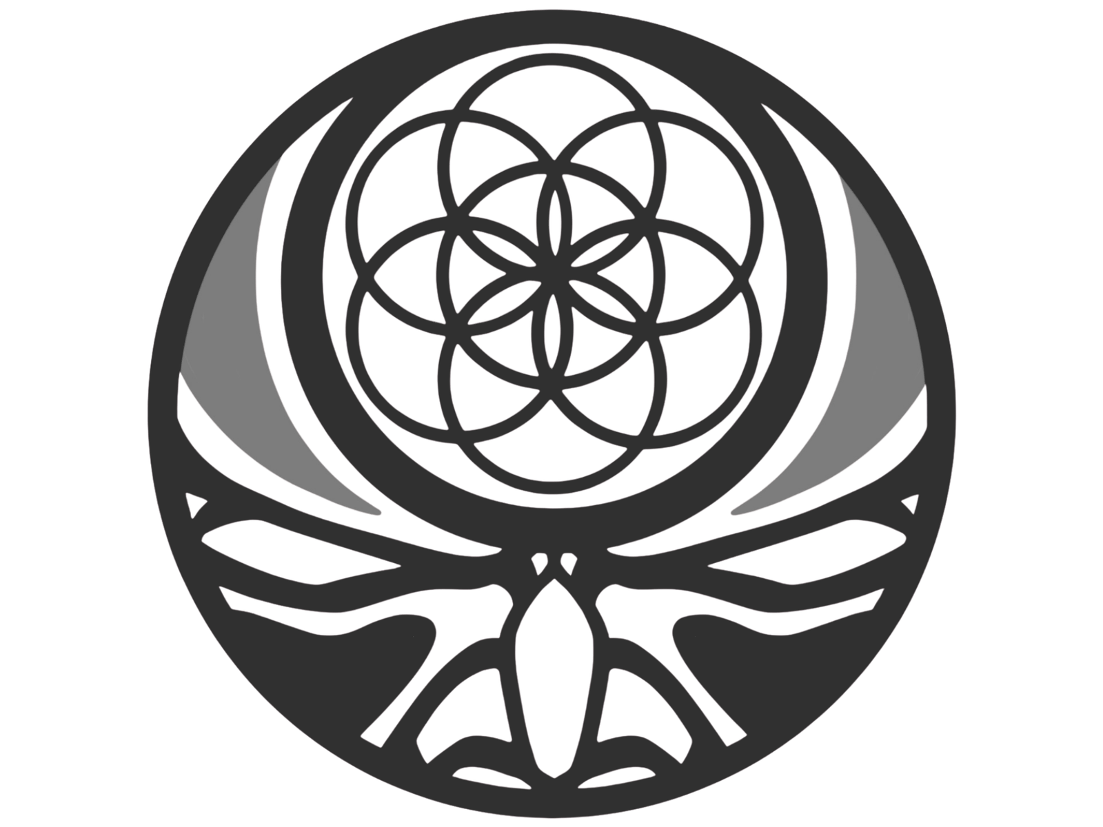 TRIBE Martial Arts Muizenberg